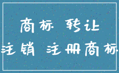 公司注销时商标怎么写
