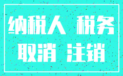 国税局公司注销需要什么