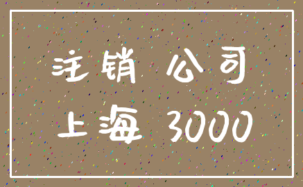 注销 公司_上海 3000