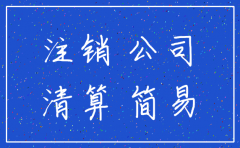 公司注销时的投资人承诺书