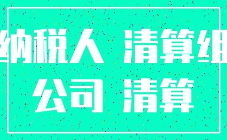 纳税人 清算组_公司 清算