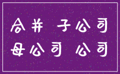 潮州吸收合并公司注销案例