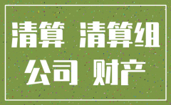 一人公司注销需要清算组吗