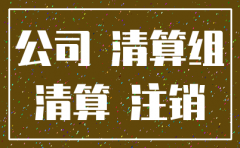 撤销公司注销清算备案股东决议