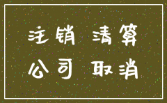 武汉工商行政网公司注销