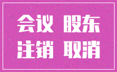 公司注销的股东会议决策模板
