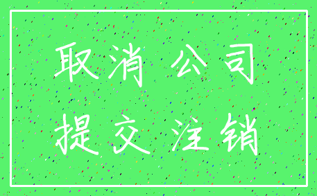 取消 公司_提交 注销