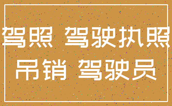 驾照 驾驶执照_吊销 驾驶员