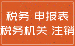 分公司国地税注销