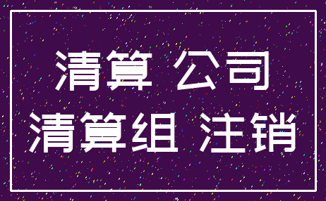 清算 公司_清算组 注销