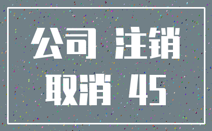 公司 注销_取消 45