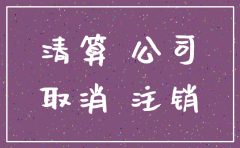 股东可以委托注销公司吗