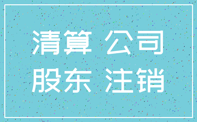 清算 公司_股东 注销