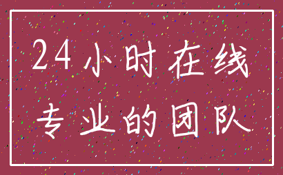 24小时在线_专业的团队