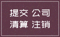 国有独资分公司注销