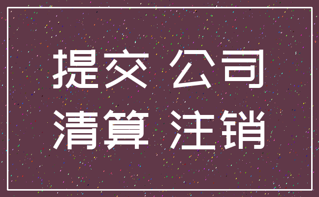 提交 公司_清算 注销