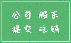 出资人注销公司文件