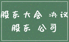 公司国税注销股东会决议样板