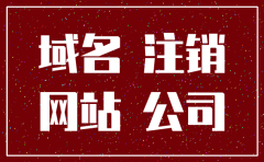 山东省公司注销申请书表格