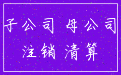 代注销子公司清偿债务账务处理