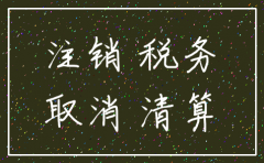 公司税务注销需提供哪些资料