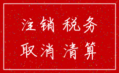 公司税务注销需提供哪些资料
