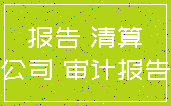 报告 清算_公司 审计报告