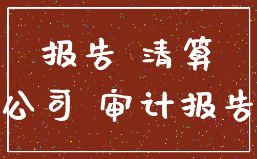 报告 清算_公司 审计报告