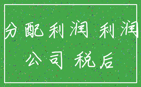 分配利润 利润_公司 税后