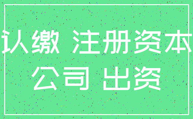 认缴 注册资本_公司 出资