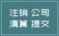 自然人独资公司注销后起诉谁