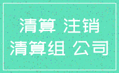 公司注销清算备案格式