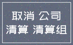 分公司注销申请报告样本