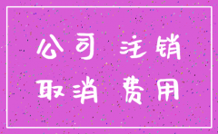 公司已注销另一个公司