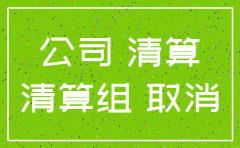 公司注销清算会计报表模板