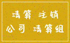关于注销 公司的批复