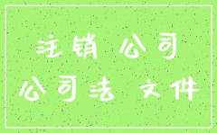 公司注销条例