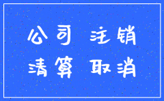 公司注销 未有注册资金说明