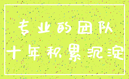 专业的团队_十年积累沉淀