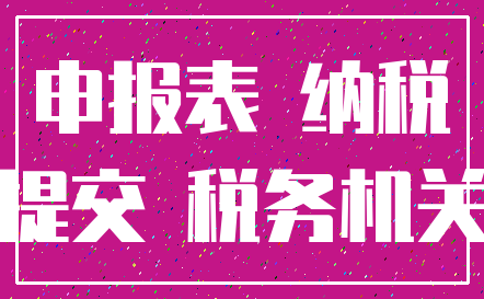 申报表 纳税_提交 税务机关