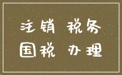 上海嘉定代理注销公司