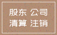 1人有限公司注销股东会决议