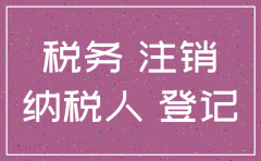 注销公司国税申请表