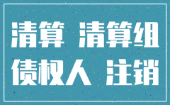 应诉期间公司注销