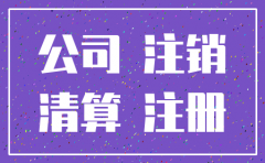 分公司注销 再初测