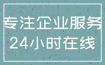专注企业服务_24小时在线
