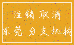 东莞代理注册公司注销