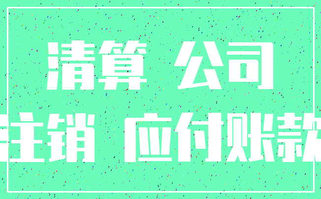 清算 公司_注销 应付账款