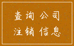 公司注销变更信息查询