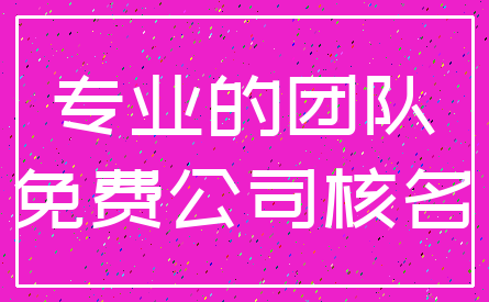 专业的团队_免费公司核名
